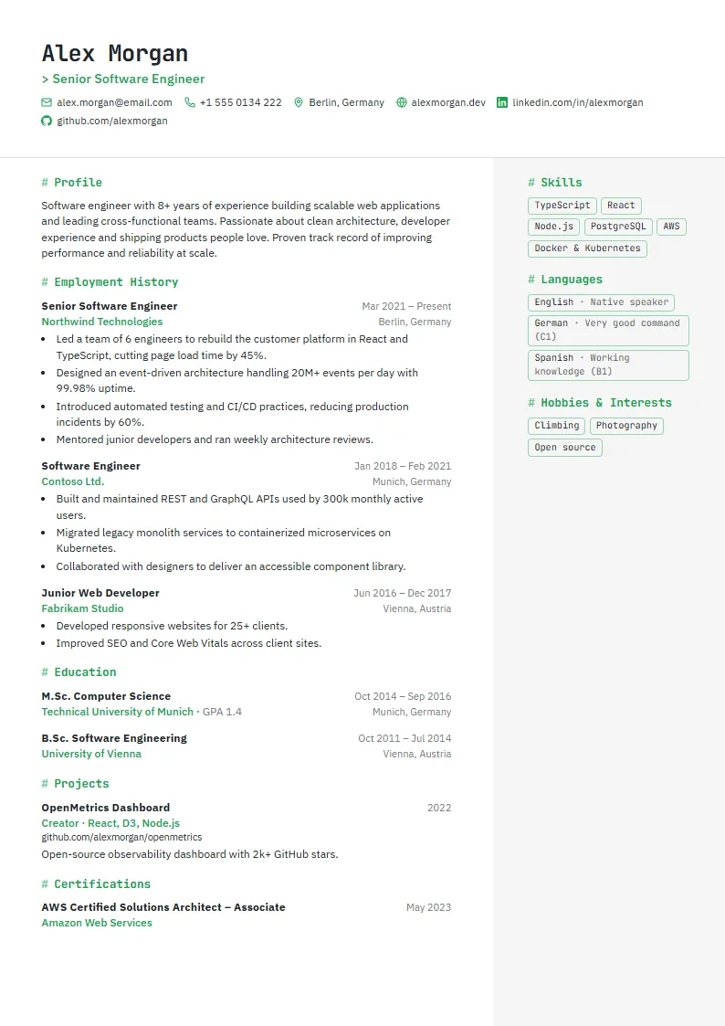 Developer CV template – example page
