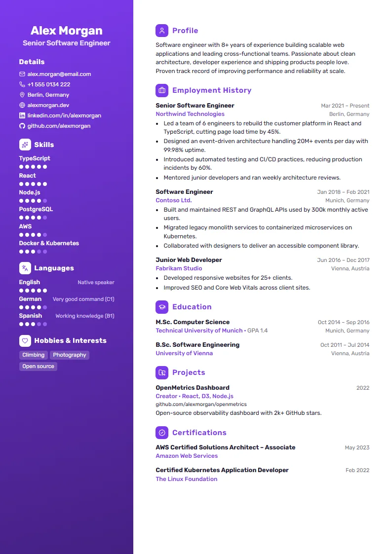 Vivid CV template – example page